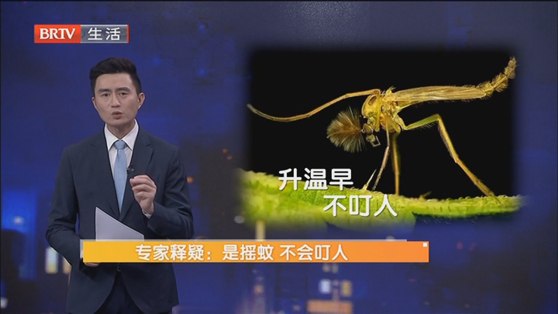 《生活帮帮忙》20260409