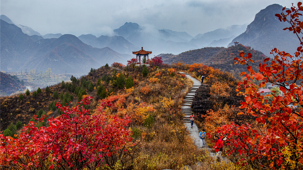 风景美如画!美丽昌平邀您云赏晚秋之美 风景美如画!美丽昌平邀您云赏晚秋之美