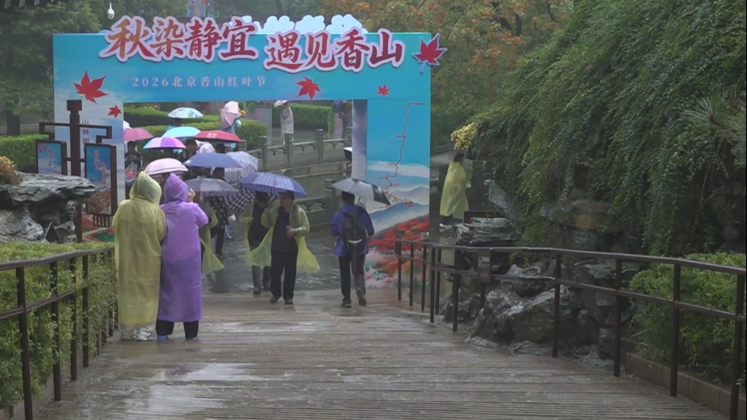 香山红叶节迎开幕后首个周末 市民游客冒雨赏秋 香山红叶节迎开幕后首个周末 市民游客冒雨赏秋