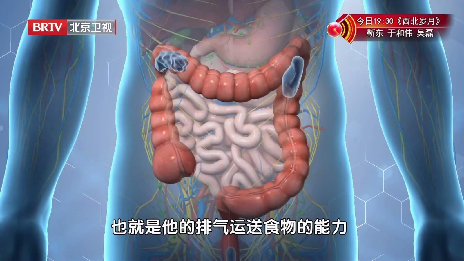 肠系膜上静脉血栓会导致肠道瘀血、扩张,严重时可能导致肠坏死! 肠系膜上静脉血栓会导致肠道瘀血、扩张,严重时可能导致肠坏死!