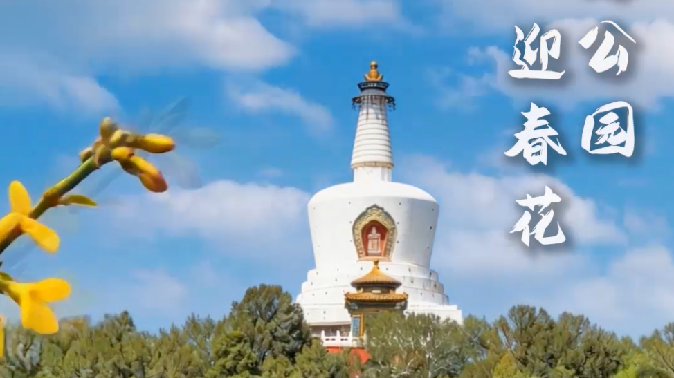 用AI绽放一场良辰美景的游园“京”梦