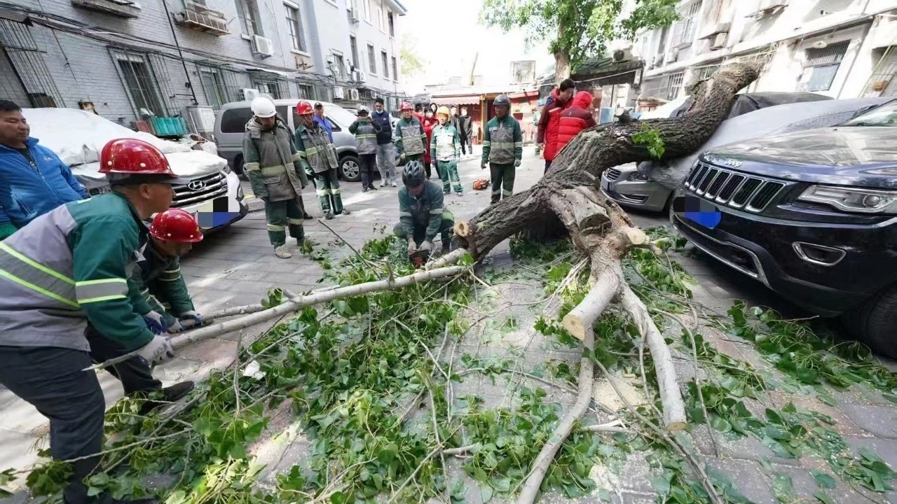 北京受理大风天气保险报案101件估损160万余元 北京受理大风天气保险报案101件估损160万余元