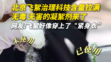 北京春季飞絮穿上了防护套