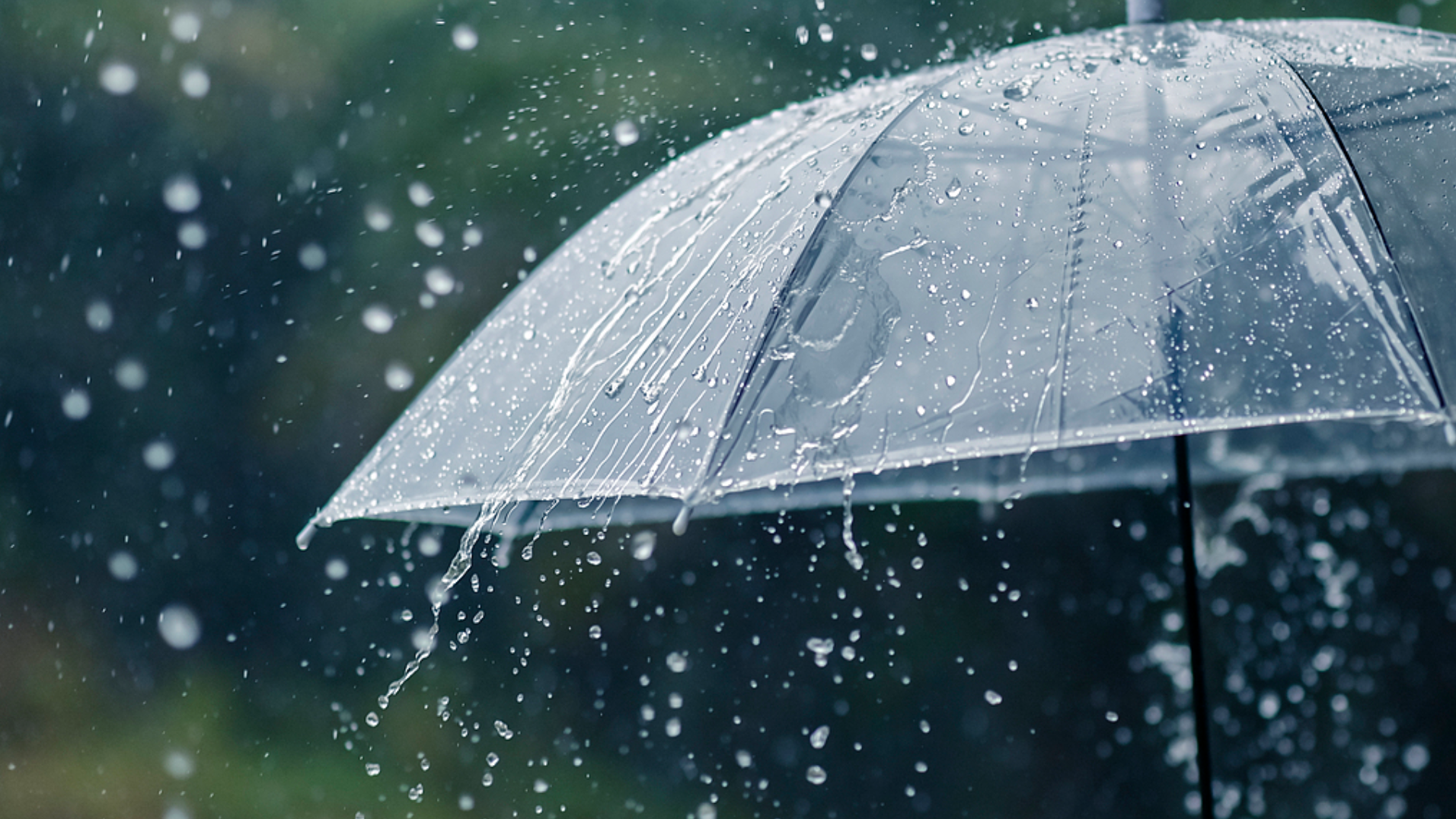 局地暴雨、大暴雨 中央气象台发布蓝色预警 局地暴雨、大暴雨 中央气象台发布蓝色预警