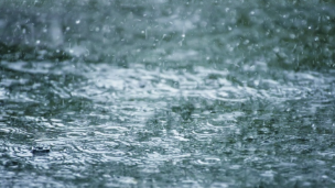 今日出行请随身携带雨具,注意防雷避雨和交通安全 今日出行请随身携带雨具,注意防雷避雨和交通安全