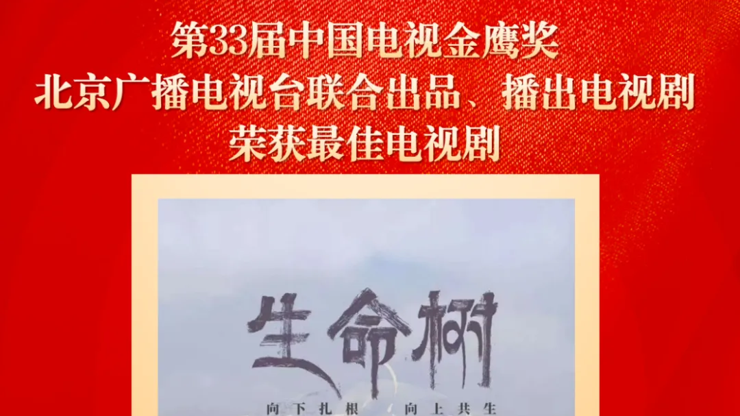 第33届金鹰奖揭晓 北京台荣获多项荣誉