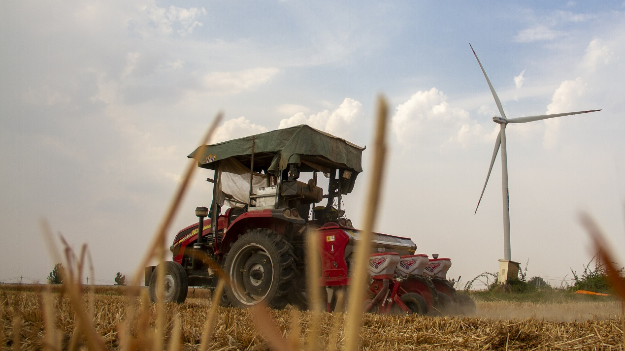 打好“虫口夺粮”主动仗!全国夏播粮食播种进度达83.1% 打好“虫口夺粮”主动仗!全国夏播粮食播种进度达83.1%