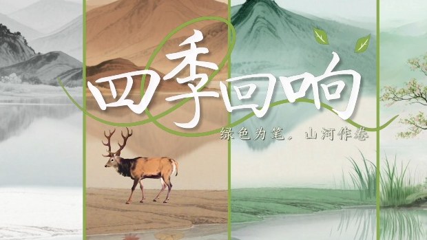 绿水青山间｜四季回响