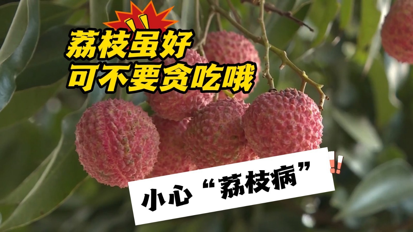 日啖荔枝三百颗？专家：当心“荔枝病” 建议每天不超10颗_北京时间