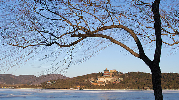 北京市发布大风蓝色预警 北京市发布大风蓝色预警