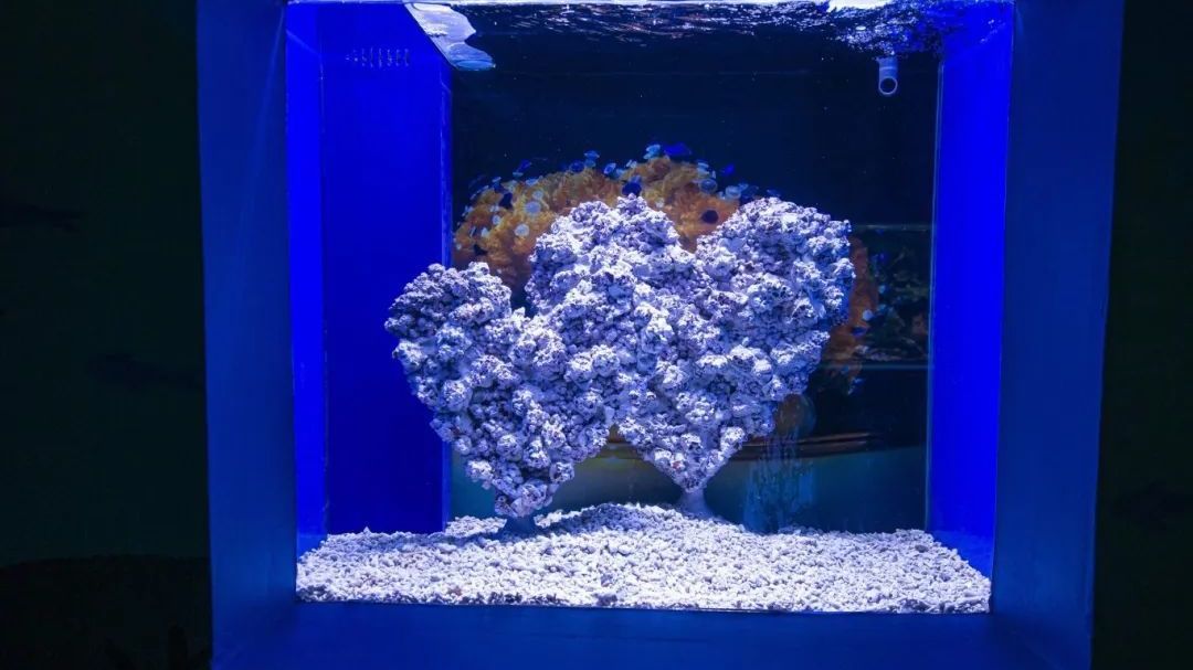 先睹为快!北京亦庄商业新地标龙玥城特色体验—— 先睹为快!北京亦庄商业新地标龙玥城特色体验——