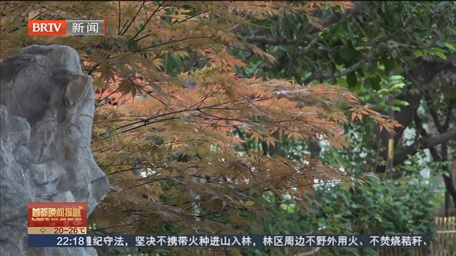 明日局地有雷阵雨 “局地”到底是哪块神秘区域