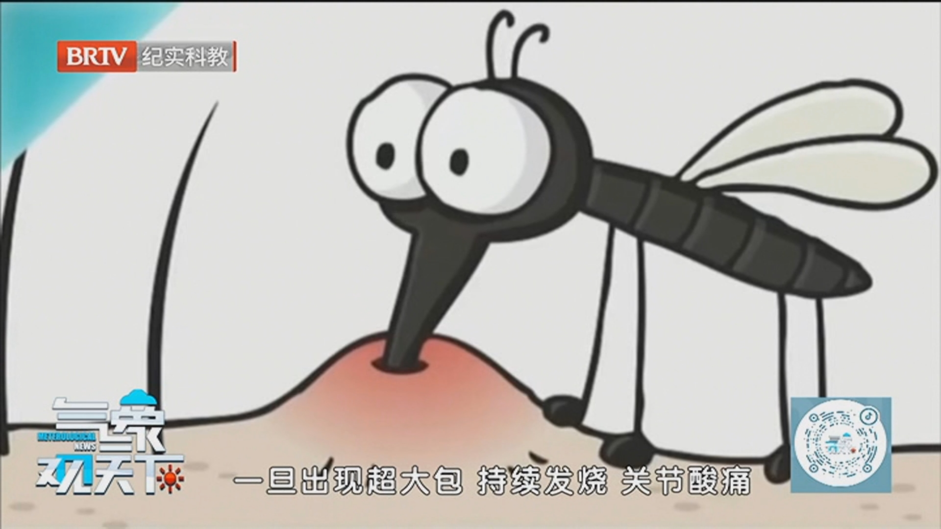 《气象观天下》20260612夏季蚊虫恼人 做好防护别大意