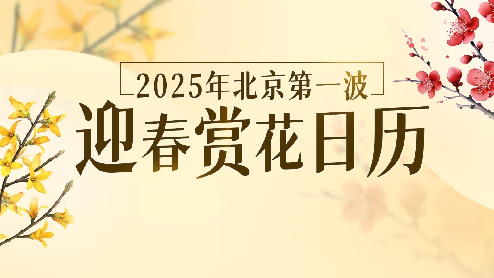 接下来的北京是无数次的春和景明！2025第一波赏花日历来了→