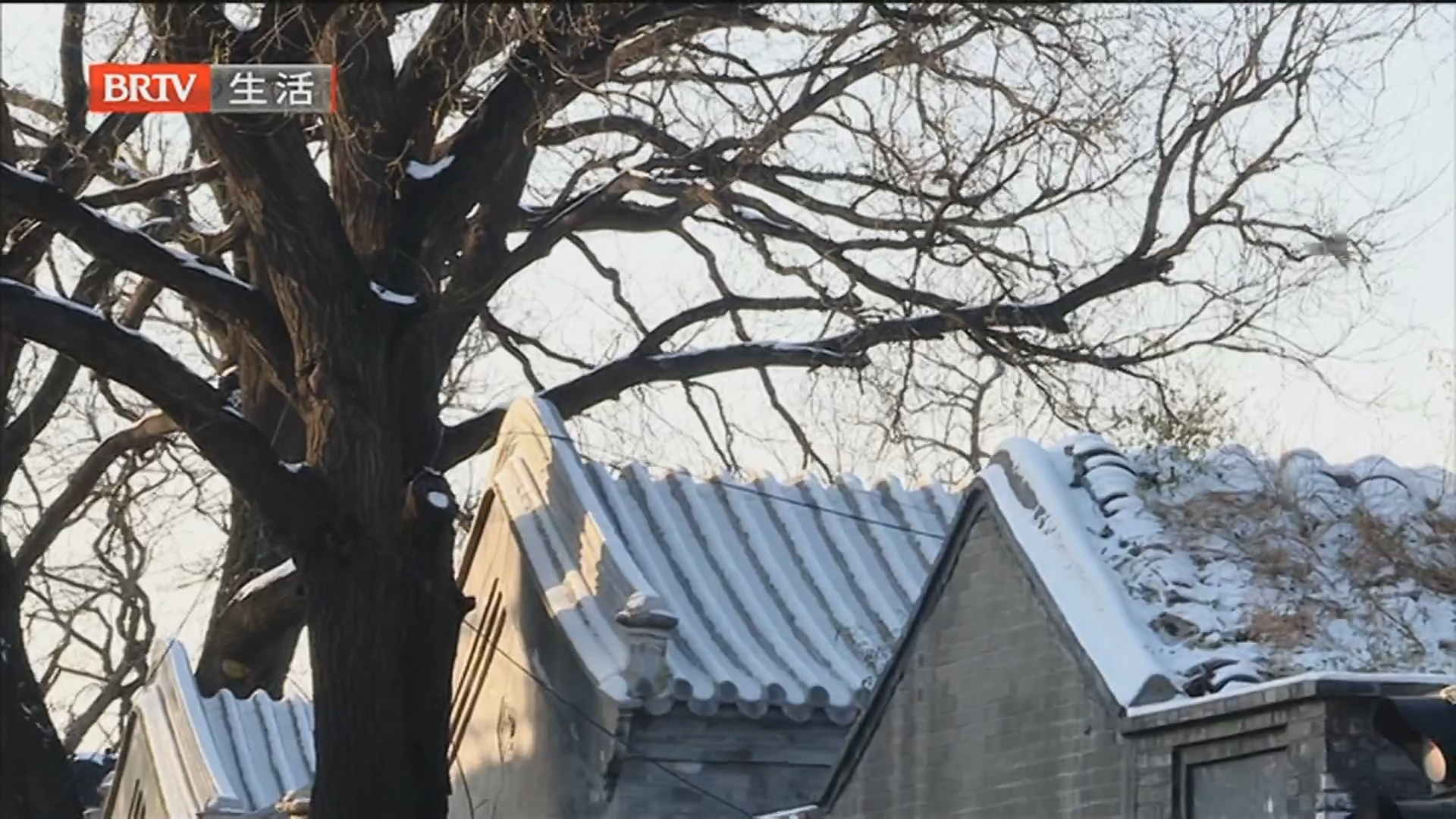 《生活这一刻》20251214