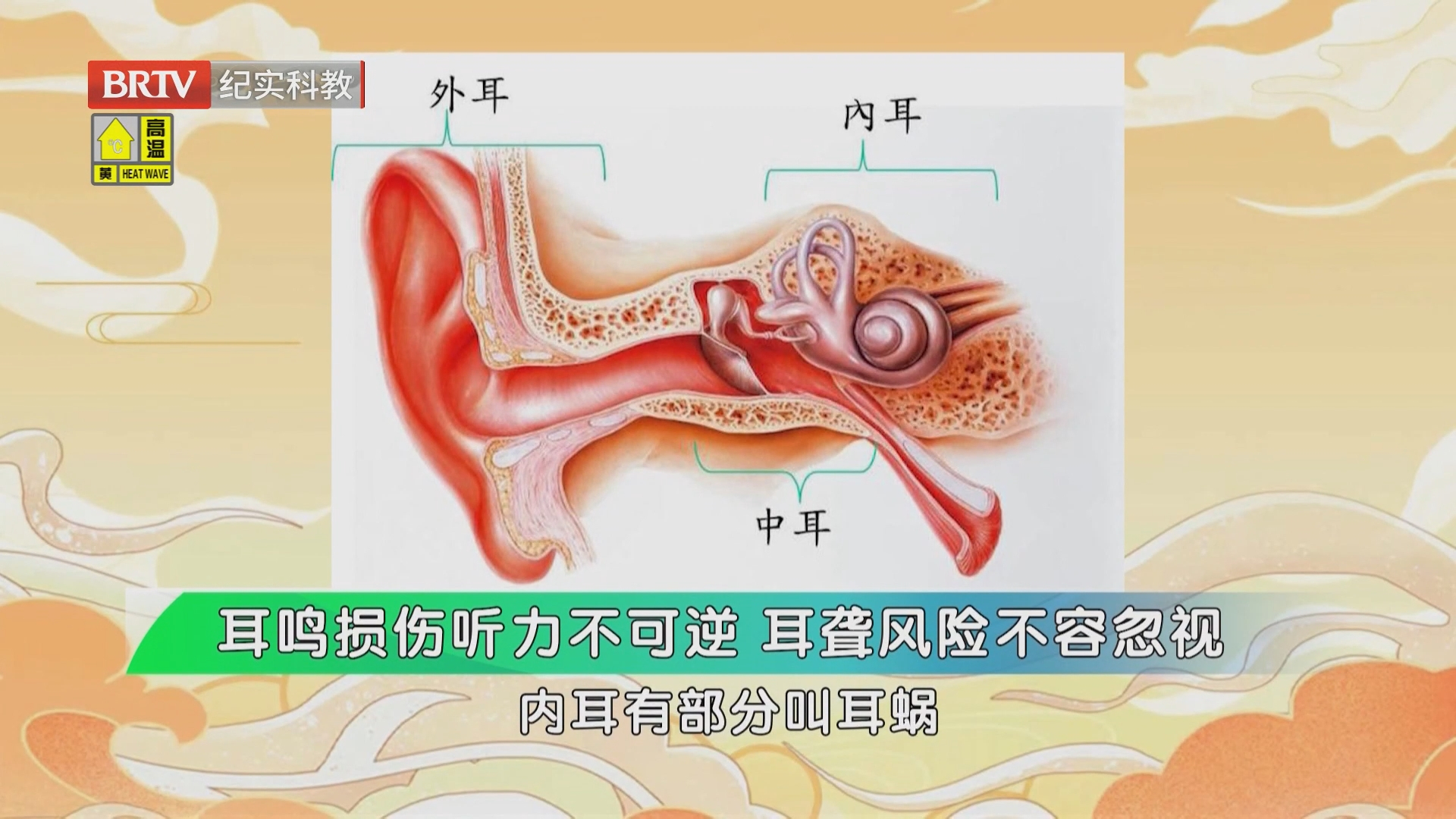 《职场健康说》20260806耳畔异响无休止 中西医辨证固本止顽鸣