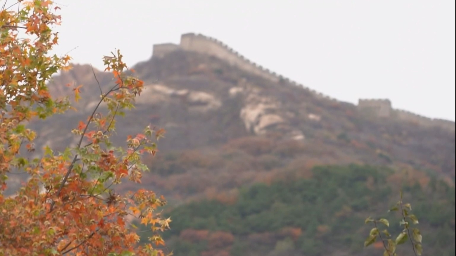 京城多处景区迎来秋叶最佳观赏期