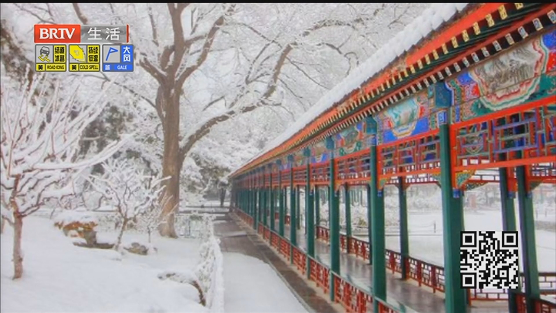 《生活这一刻》20260118