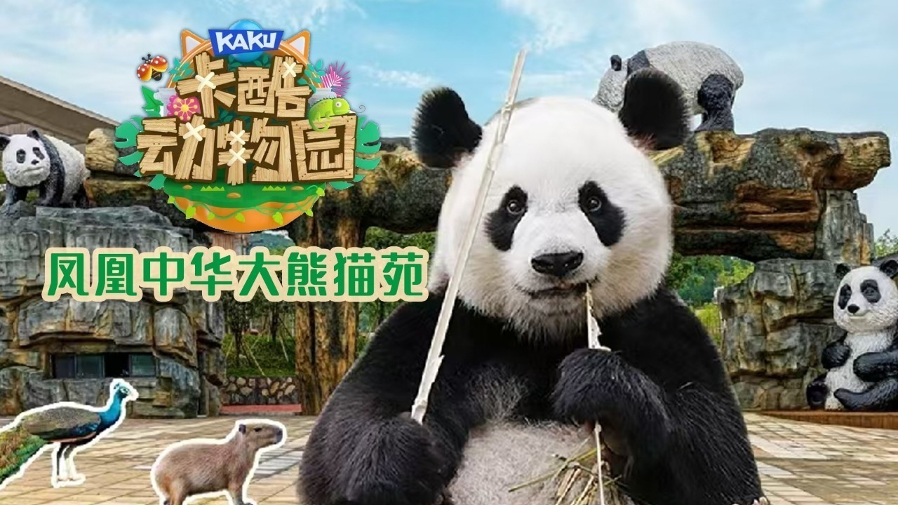 少儿户外动物直播《卡酷动物园》萌萌的“凤凰八小只 ” TA来了！