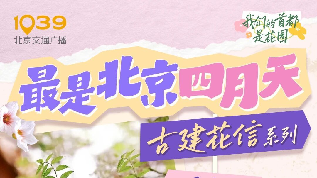 最是北京四月天 | 古建花信系列上线啦