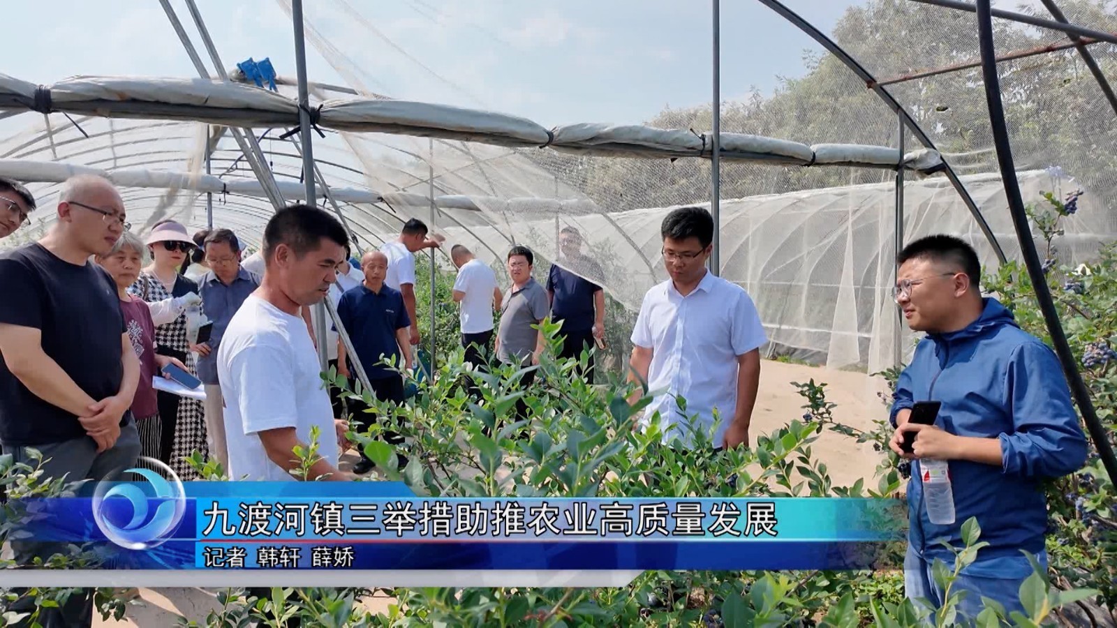 怀柔区九渡河镇三举措助推农业高质量发展