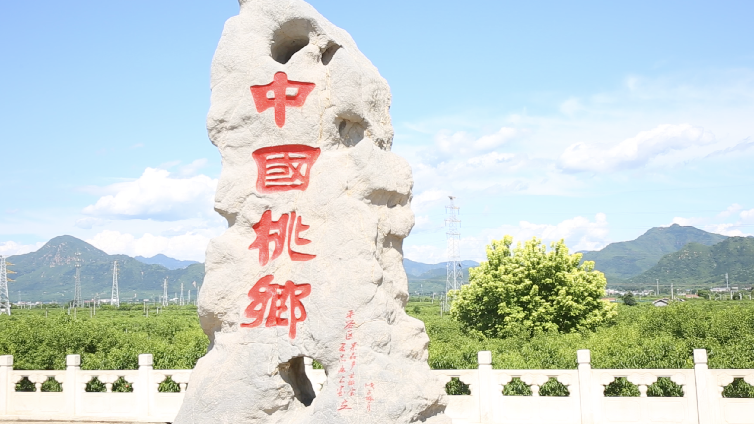 错过等一年，秋日平谷桃园里，还有一树桃香