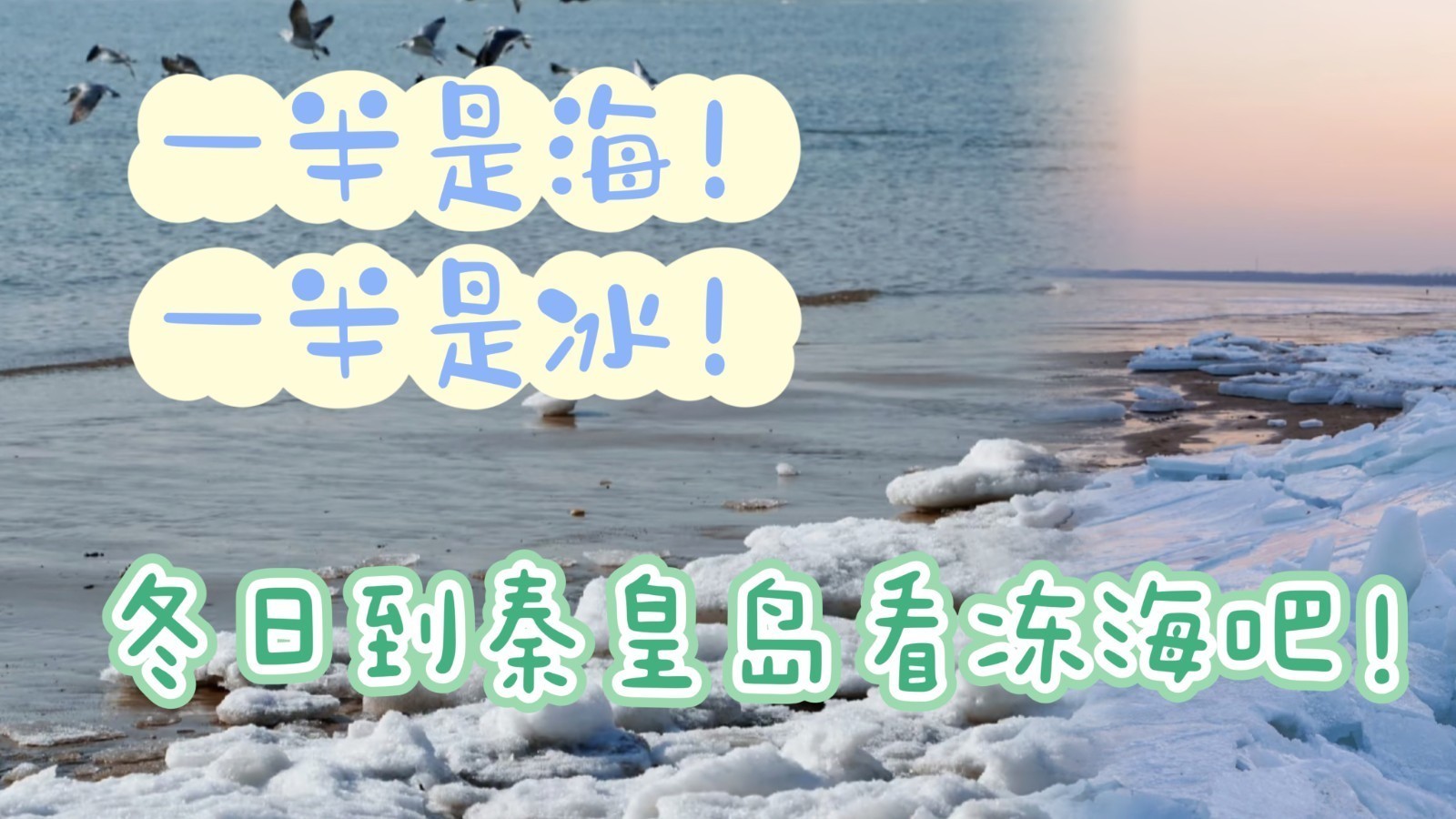 一半是海!一半是冰!冬日到秦皇岛看冻海吧! 一半是海!一半是冰!冬日到秦皇岛看冻海吧!