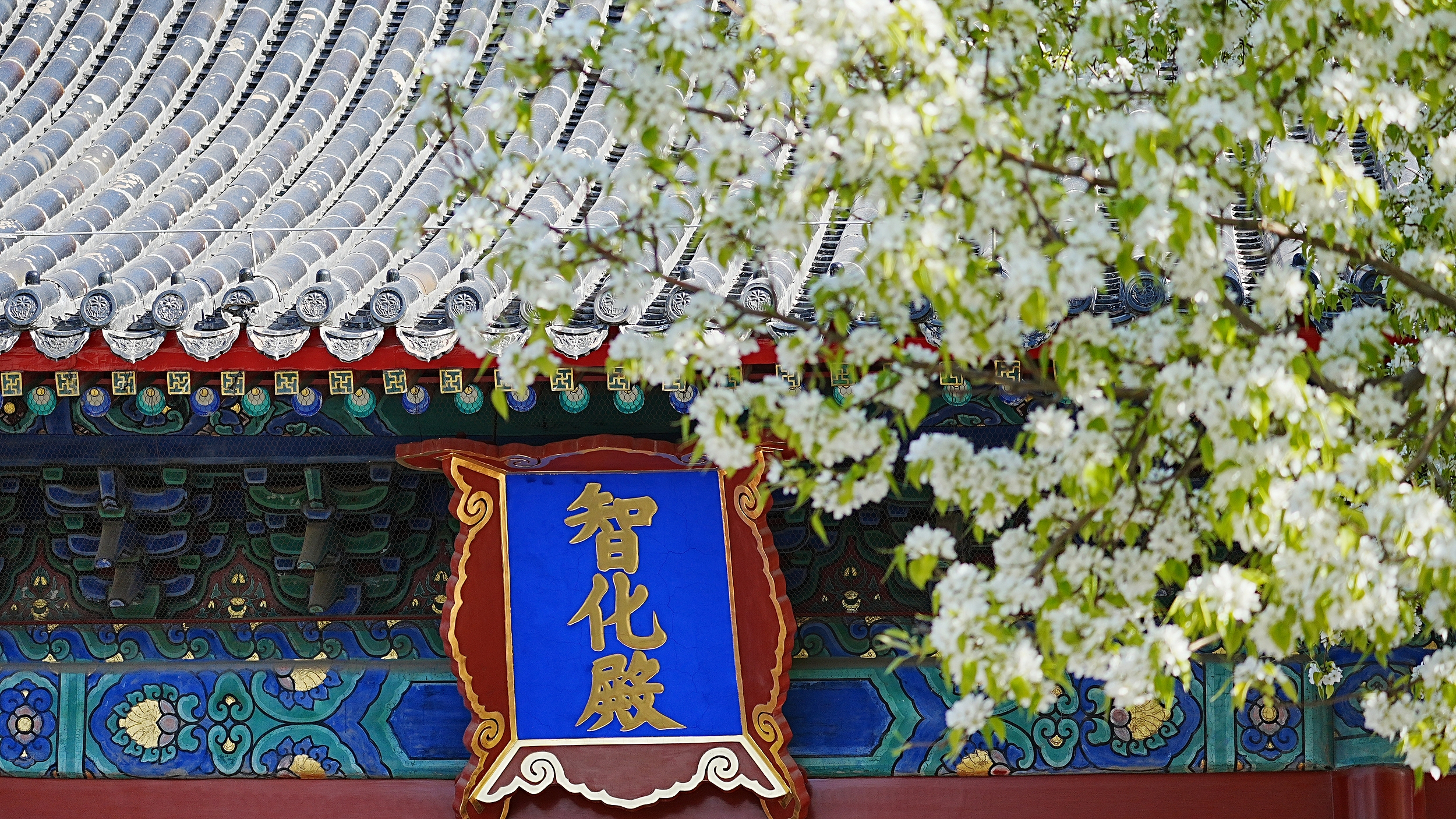 文化中国行丨北京智化寺vs天津独乐寺你pick哪一个? 文化中国行丨北京智化寺vs天津独乐寺你pick哪一个?