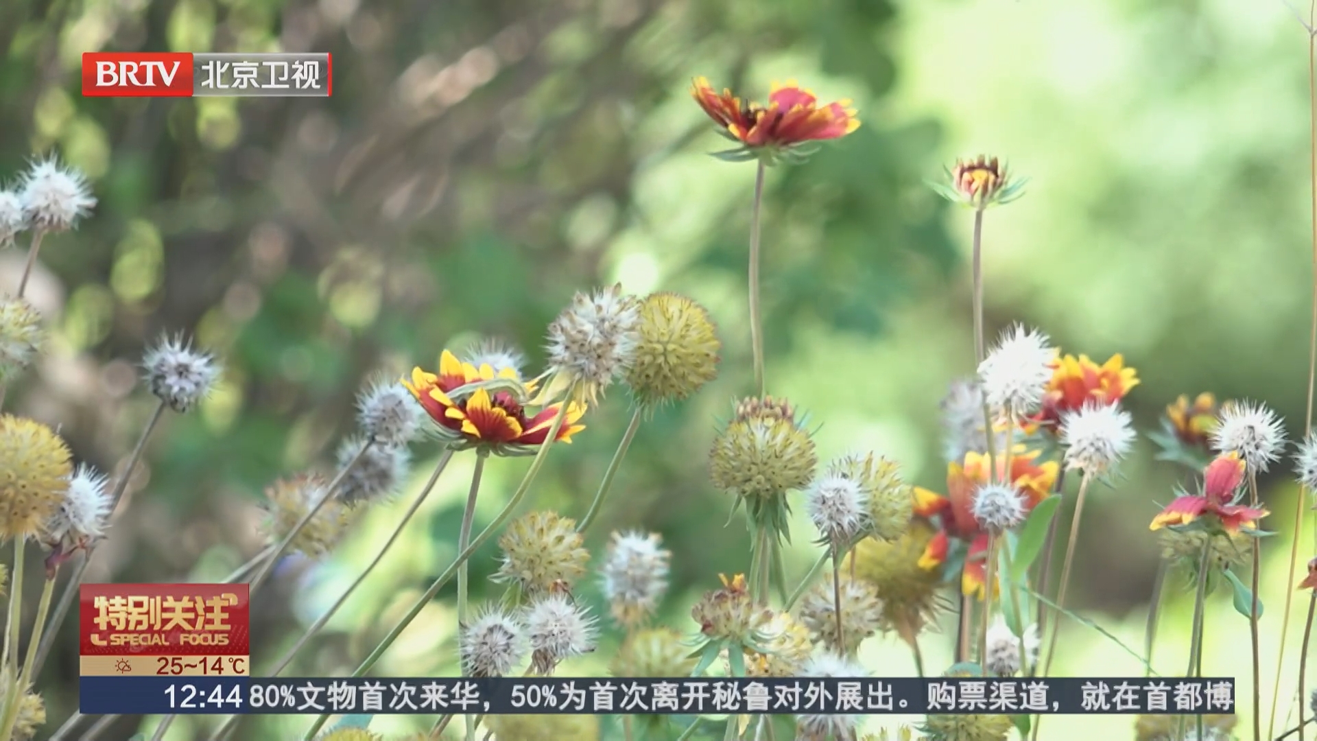 世界精神卫生日：一位抑郁症患者的独白