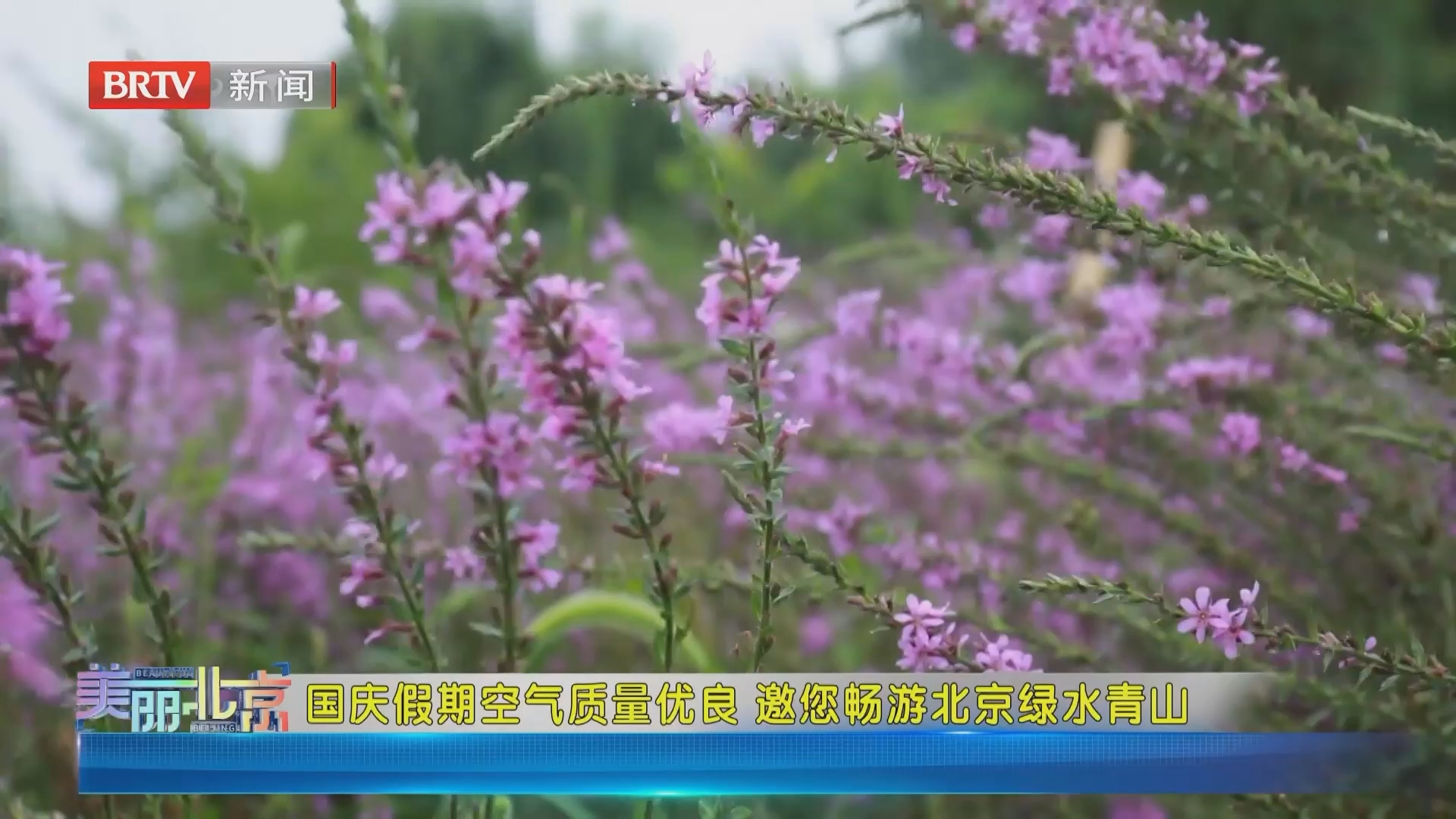 《美丽北京》20260930国庆假期空气质量优良 邀您畅游北京绿水青山 《美丽北京》20260930国庆假期空气质量优良 邀您畅游北京绿水青山