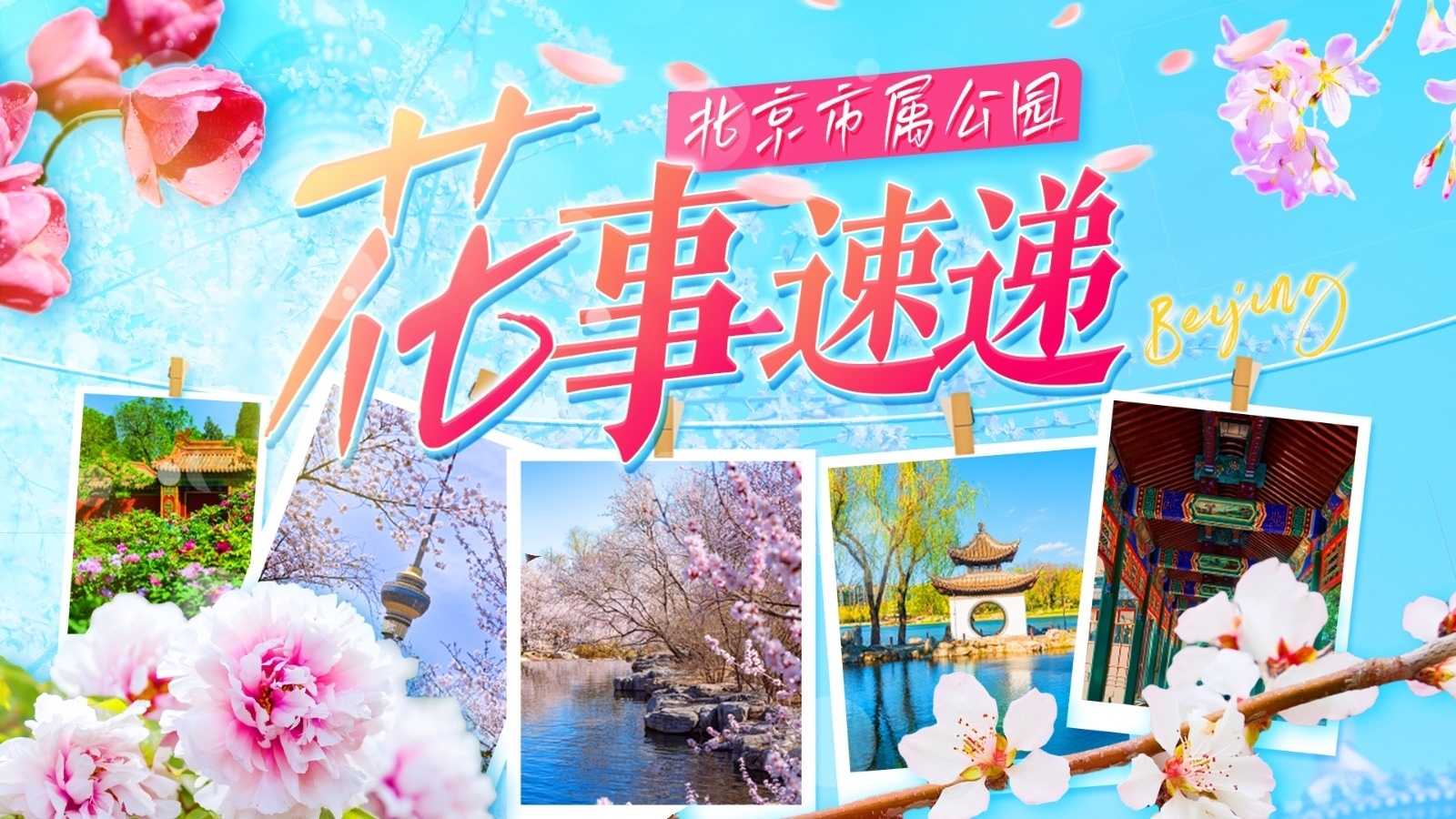 花开京城 | 市属公园春日赏花图鉴,邂逅浪漫花海! 花开京城 | 市属公园春日赏花图鉴,邂逅浪漫花海!