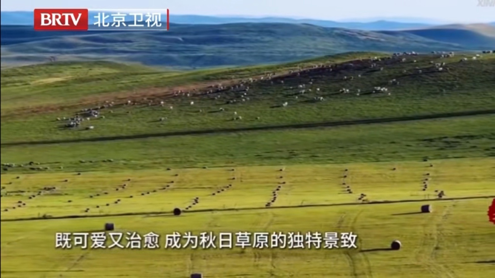 秋日内蒙古草原草捆可爱治愈