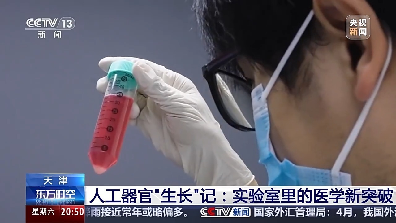 器官可以人工“养”!看实验室里的医学新突破 器官可以人工“养”!看实验室里的医学新突破