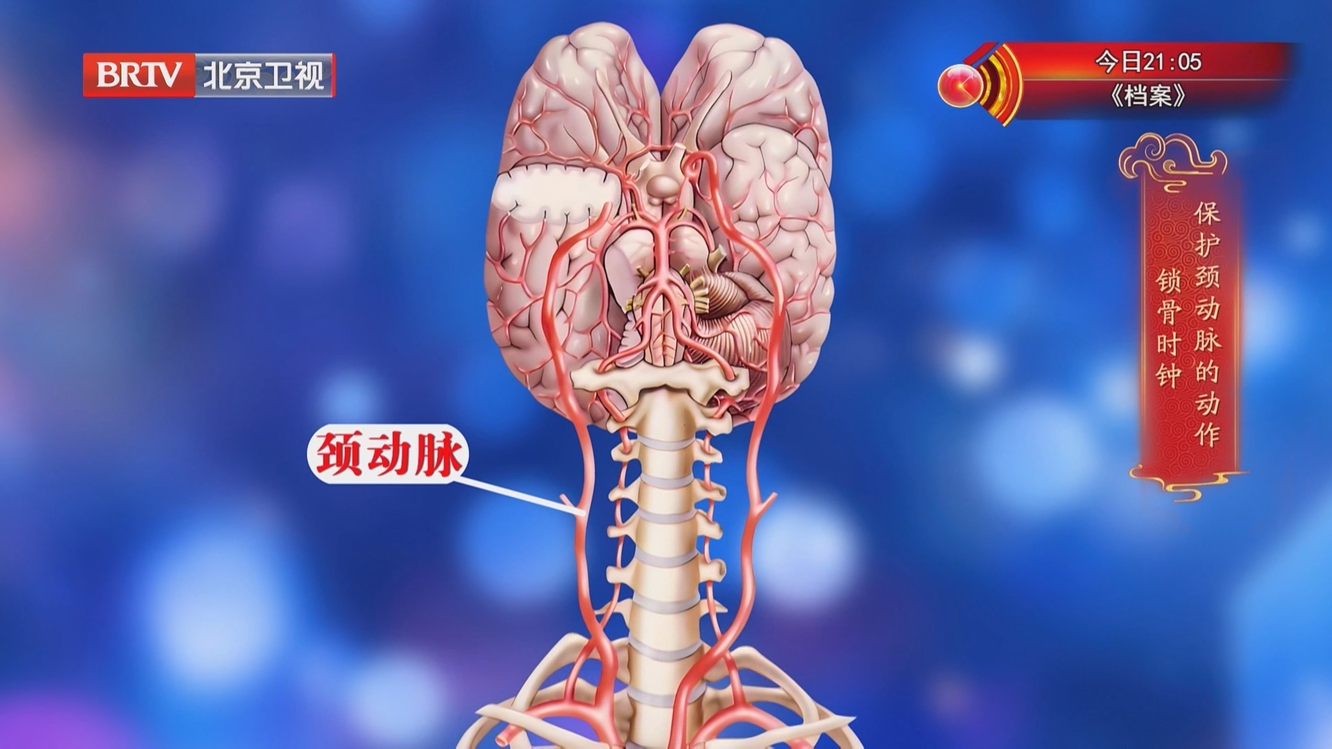 《养生堂》20260420被忽视的血管“守门员”