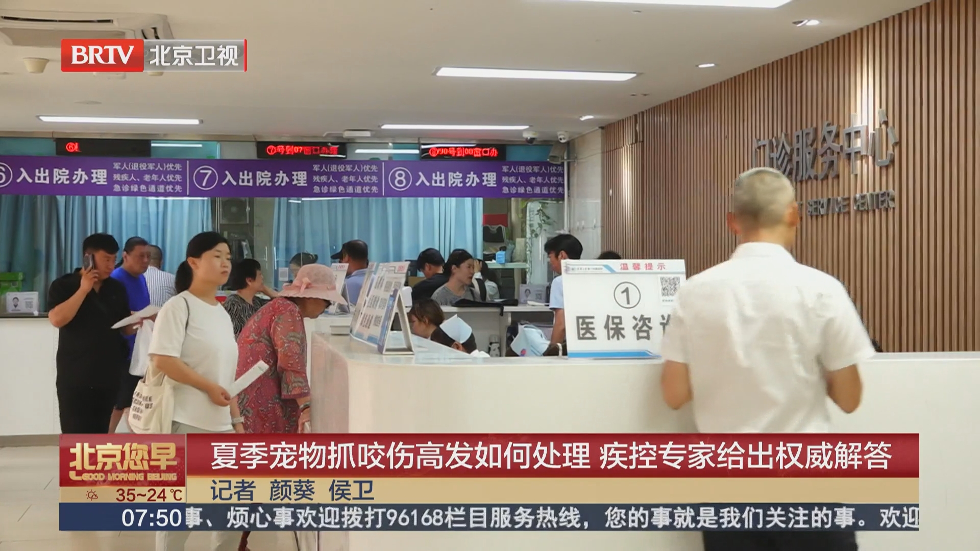 夏季宠物抓咬伤高发如何处理 疾控专家给出权威解答
