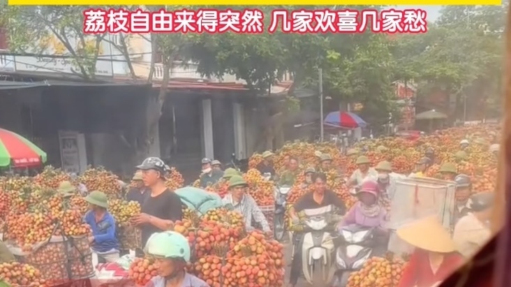 上市初期还能卖个好价钱，如今价格直接腰斩70%！