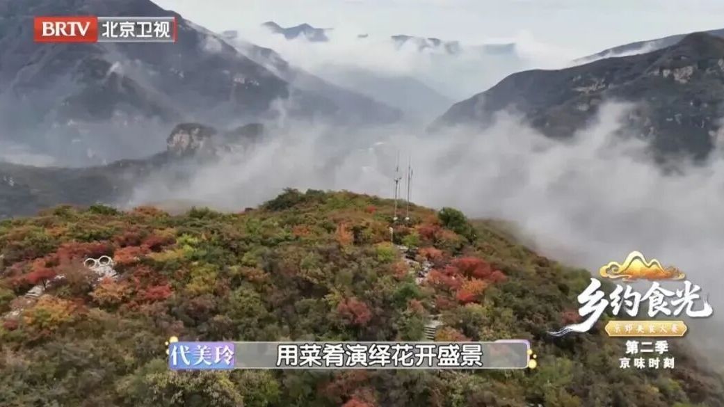 房山区斩获《乡约食光》大赛总冠军 以特色美食助力乡村旅游提质增效 房山区斩获《乡约食光》大赛总冠军 以特色美食助力乡村旅游提质增效