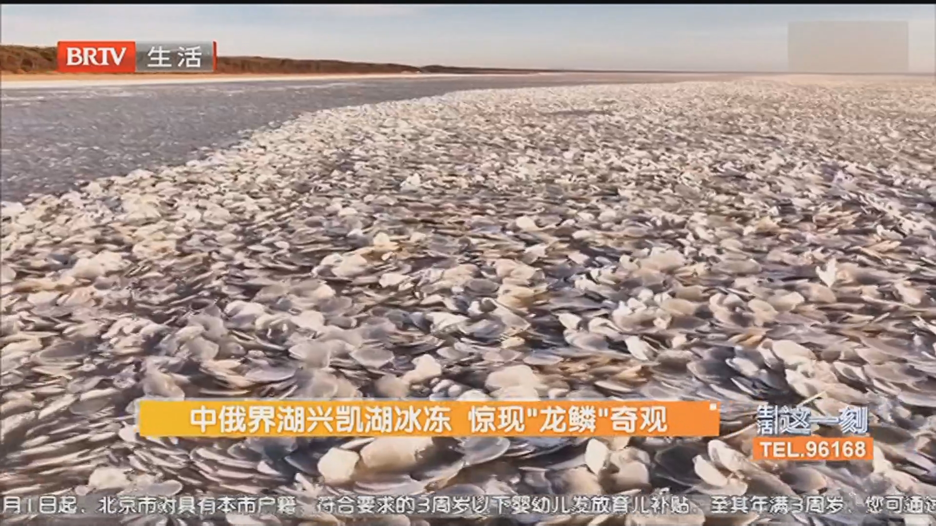 《生活这一刻》20251201