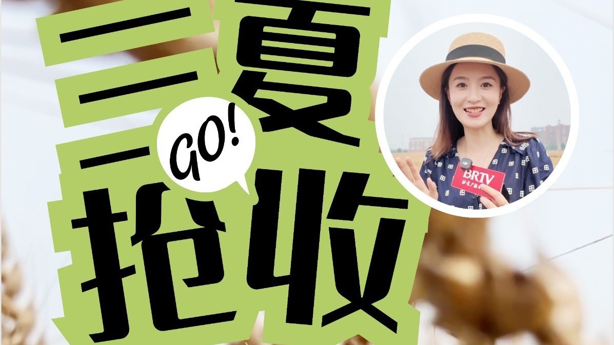 北京三夏抢收抢种正当时 北京三夏抢收抢种正当时