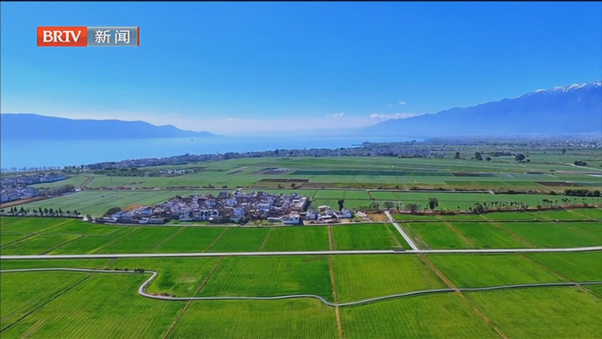 云南大理：麦田吸引游客打卡