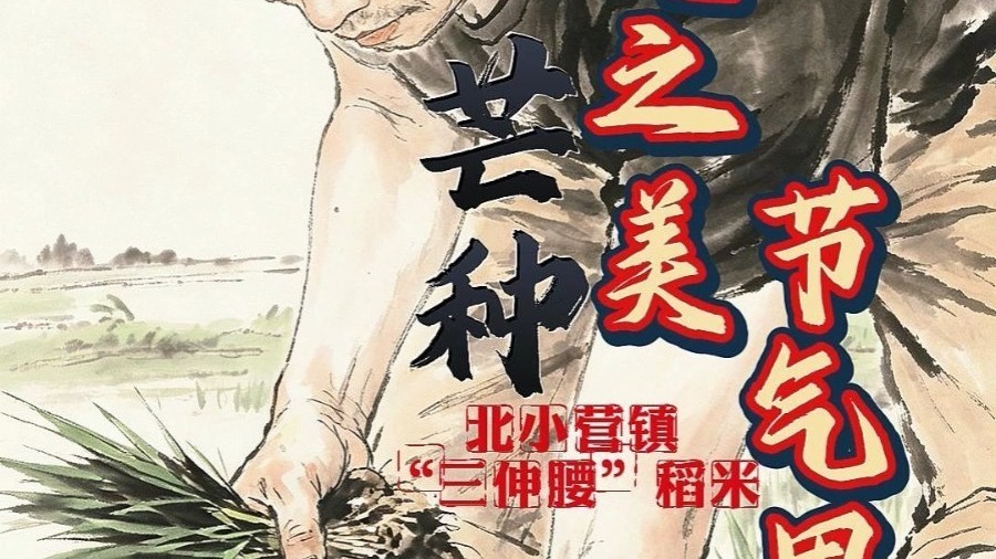芒种时节,仲夏始至,暑气初盛,万物进入蓬勃生长的繁盛期 芒种时节,仲夏始至,暑气初盛,万物进入蓬勃生长的繁盛期