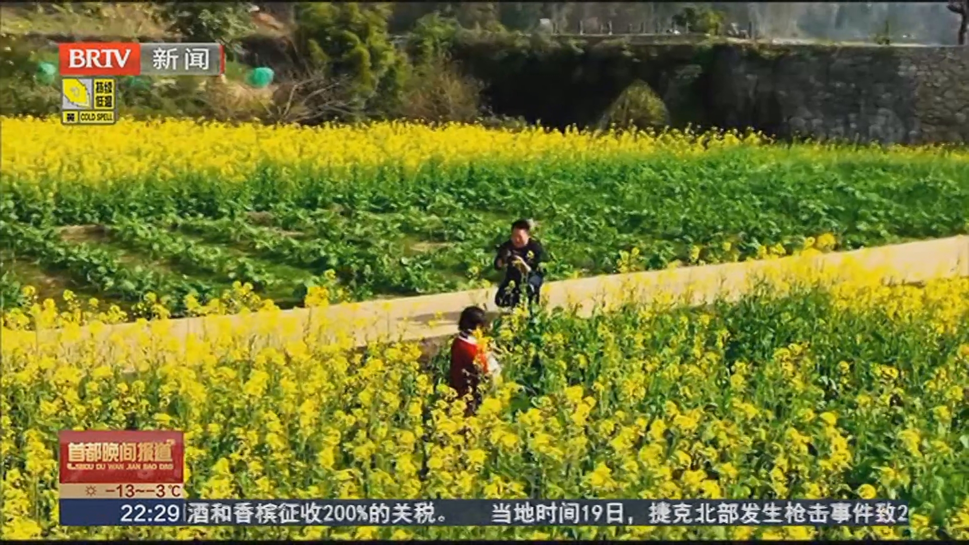 贵州兴义：油菜花开