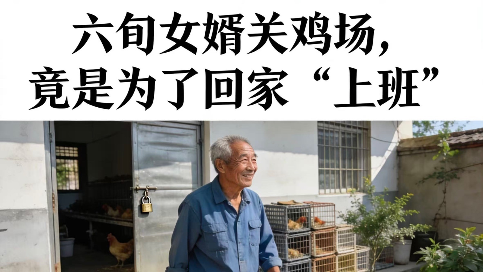 六旬女婿关鸡场,竟是为了回家“上班” 六旬女婿关鸡场,竟是为了回家“上班”