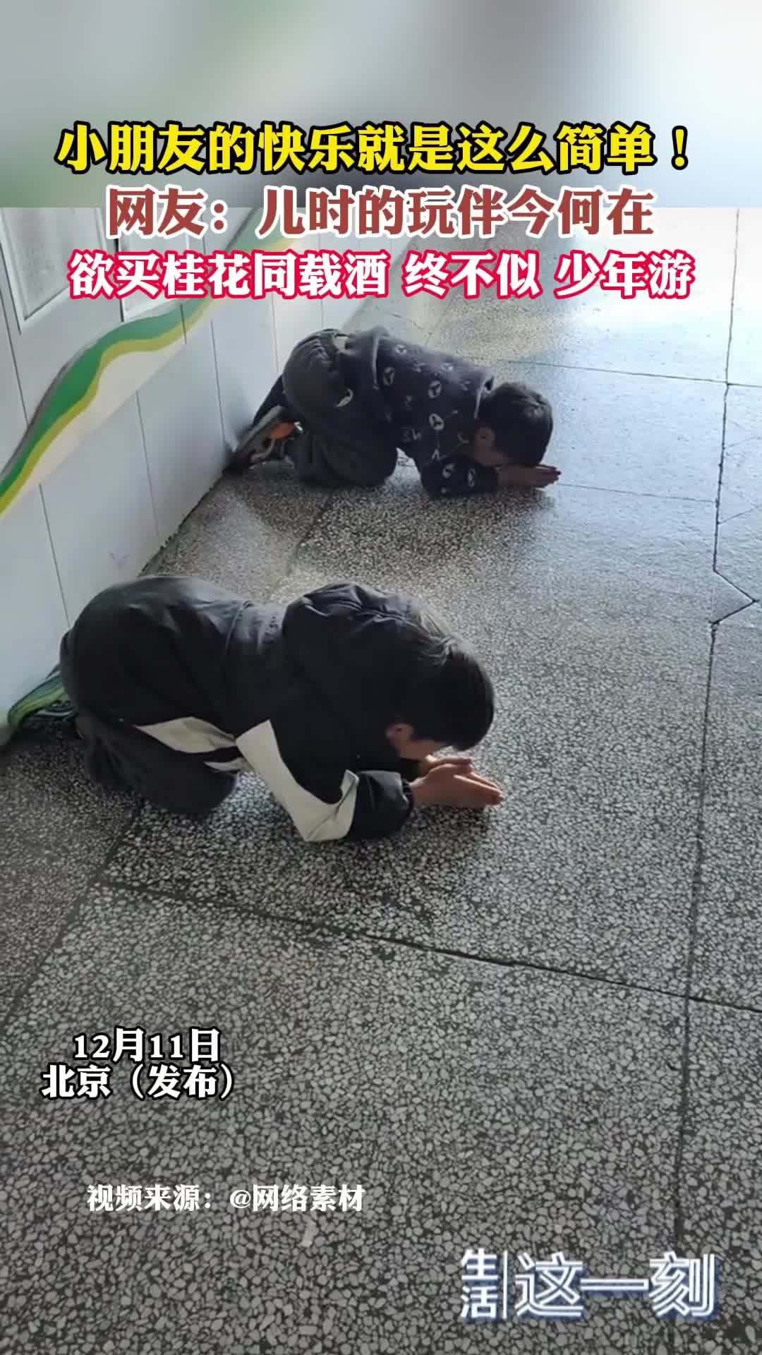 小朋友的快乐就是这么简单!“欲买桂花同载酒 终不似 少年游” 小朋友的快乐就是这么简单!“欲买桂花同载酒 终不似 少年游”
