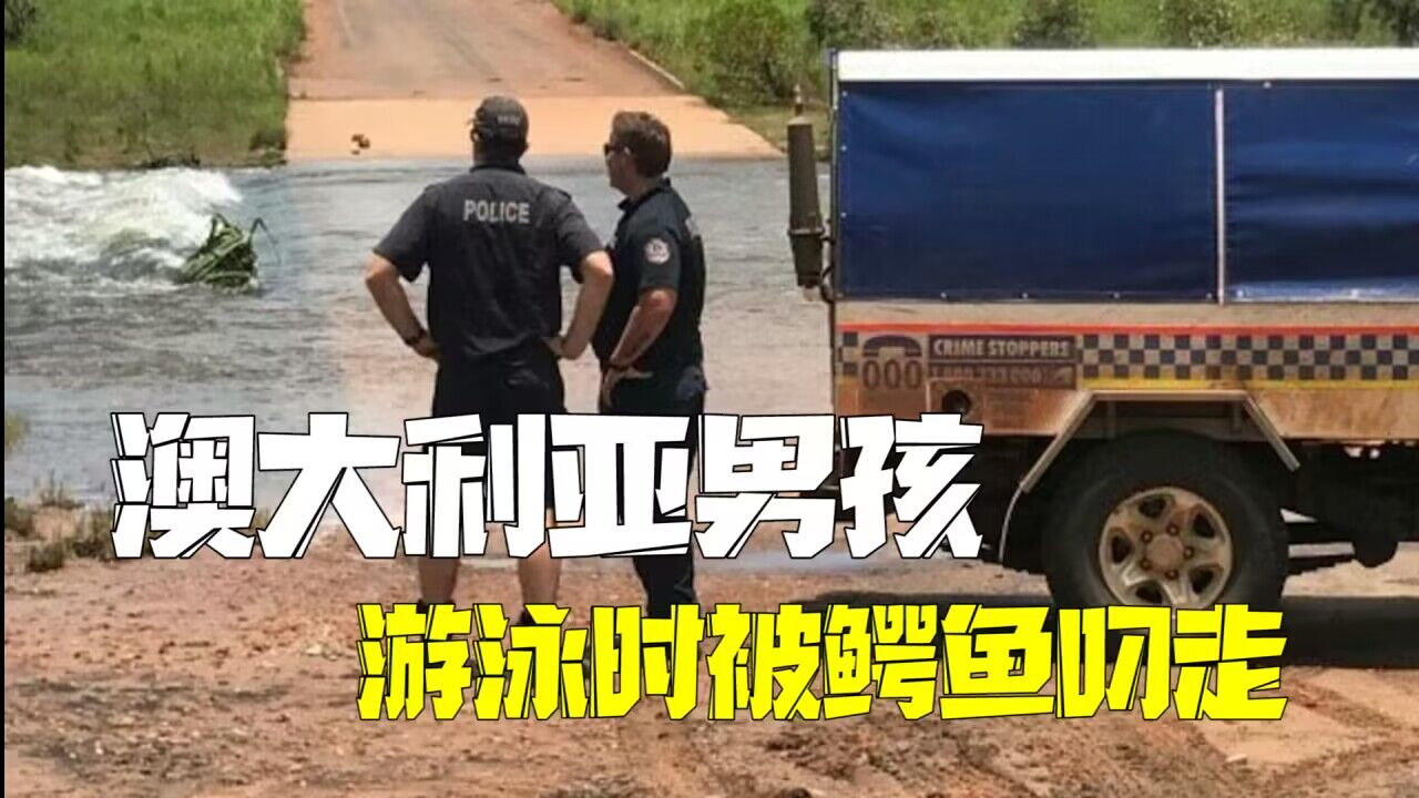 澳大利亚12岁男孩游泳时遭鳄鱼袭击 被叼走后下落不明