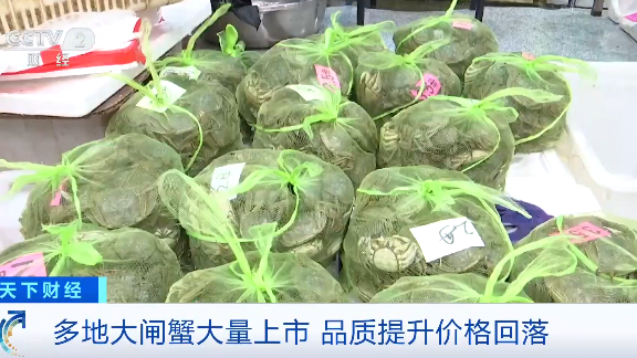 大闸蟹价格“大跳水”平均每斤降价10到15元左右