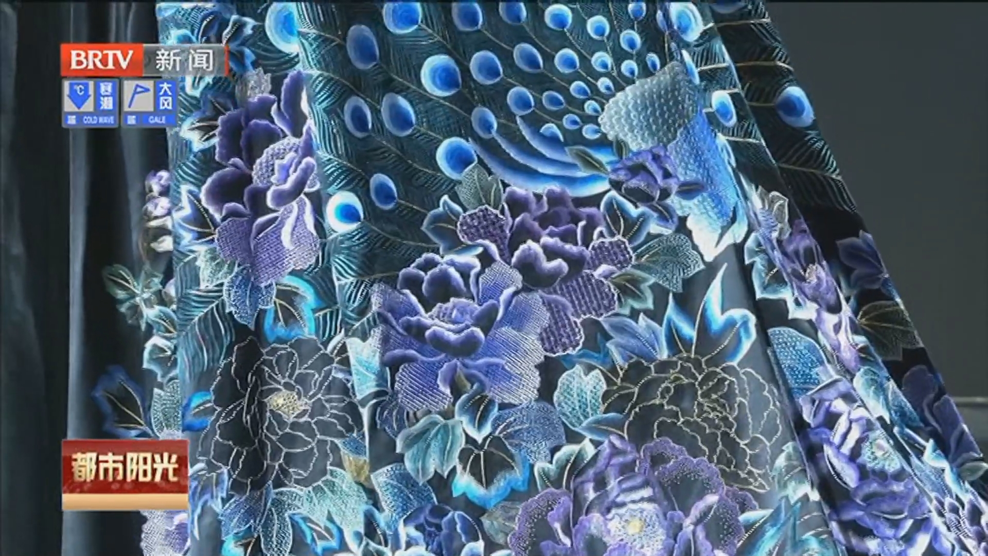 《都市阳光》20251202