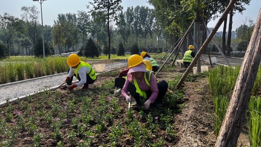 北京昌平|打造宜居生态环境,满足人民群众需求和期待 北京昌平|打造宜居生态环境,满足人民群众需求和期待