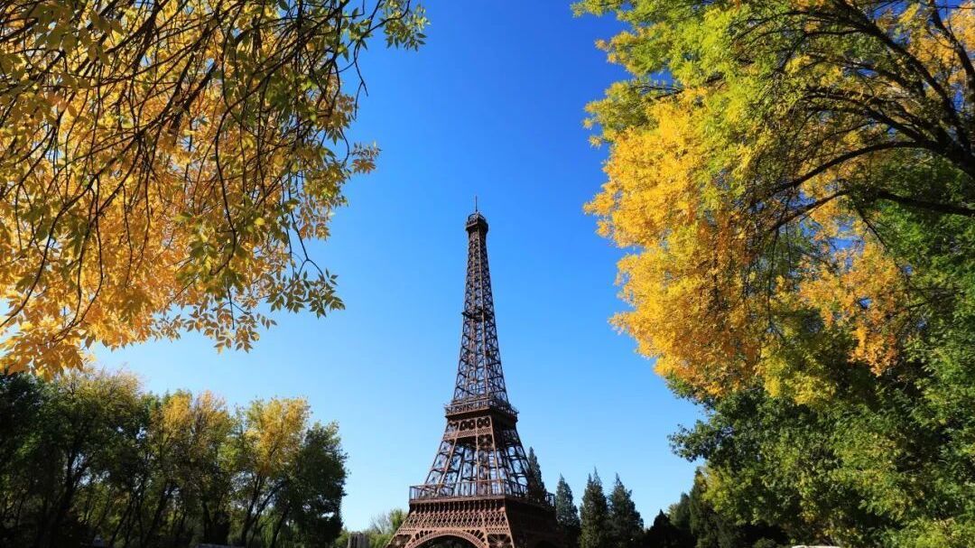 重阳节游玩福利大放送!这些地方“60岁以上友好”—— 重阳节游玩福利大放送!这些地方“60岁以上友好”——